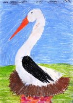 Hicláková Petra.jpg